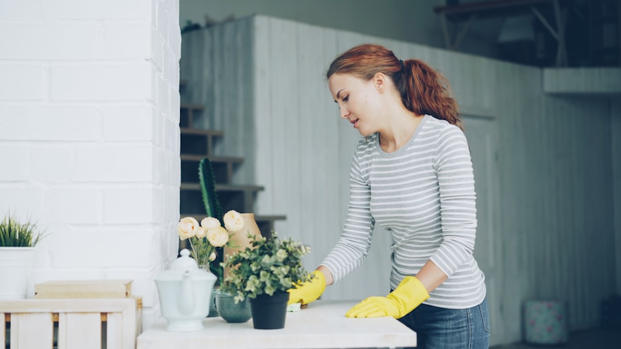Photo professional cleaners