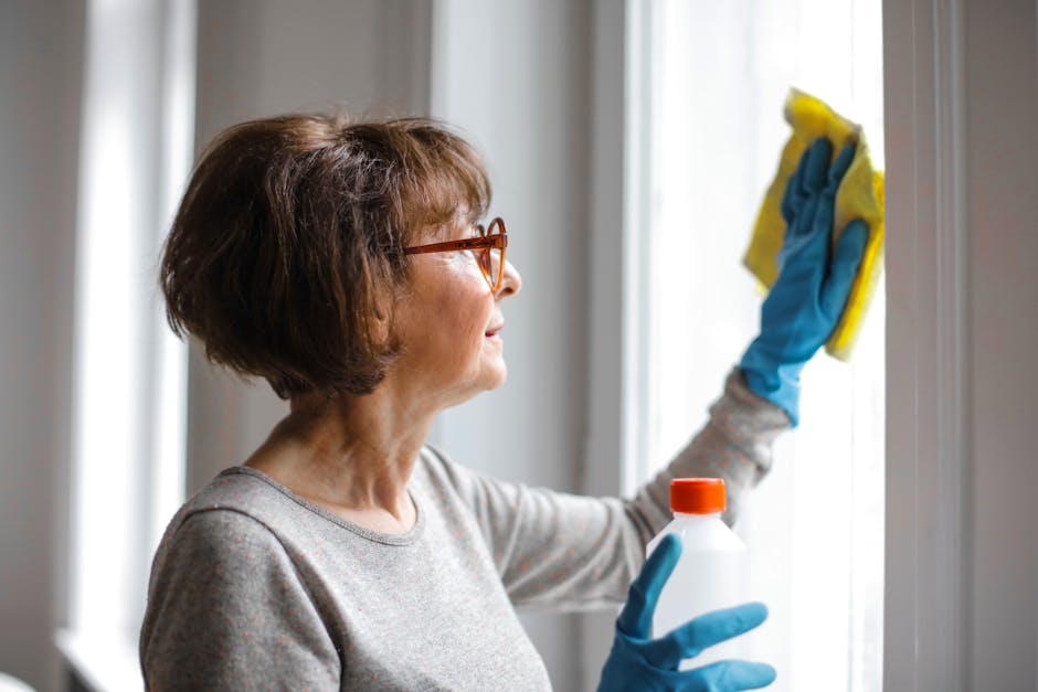 window cleaning point cook